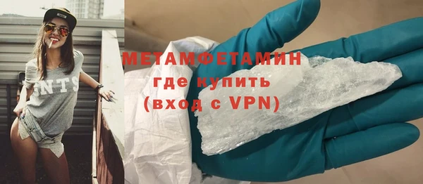 шишки Бородино