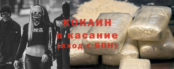 шишки Бородино