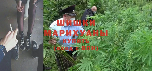 шишки Бородино