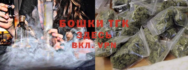 соль ск Богданович