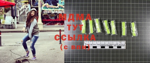 шишки Бородино